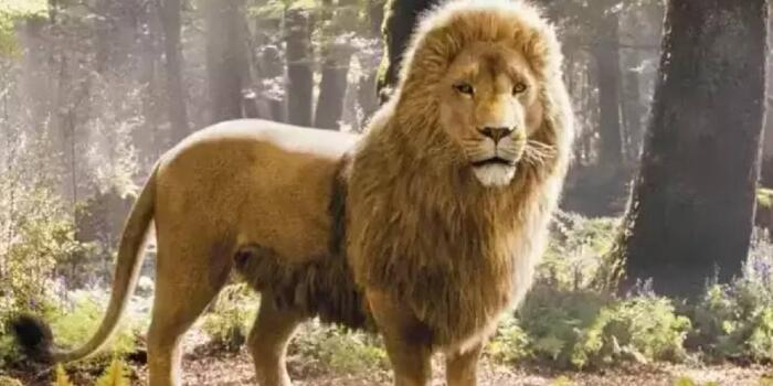 Film és Sorozat - Tényleg Meryl Streep lesz Aslan a netflixes Narnia-filmben