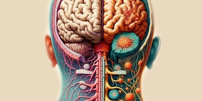 Üzlet - Enyhítheti a CBD a sclerosis multiplex tüneteit?