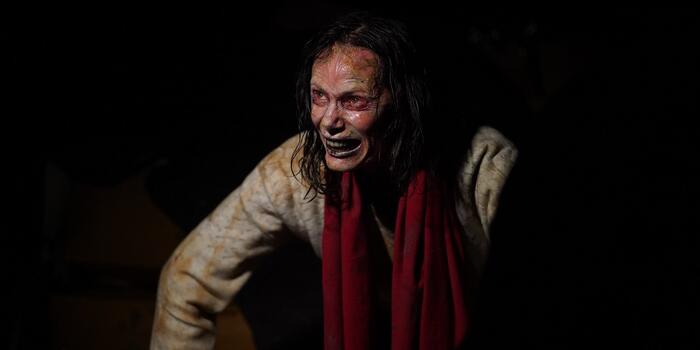 Film és Sorozat - A The Walking Dead színésze összehozta a legjobb Resident Evil-filmet?