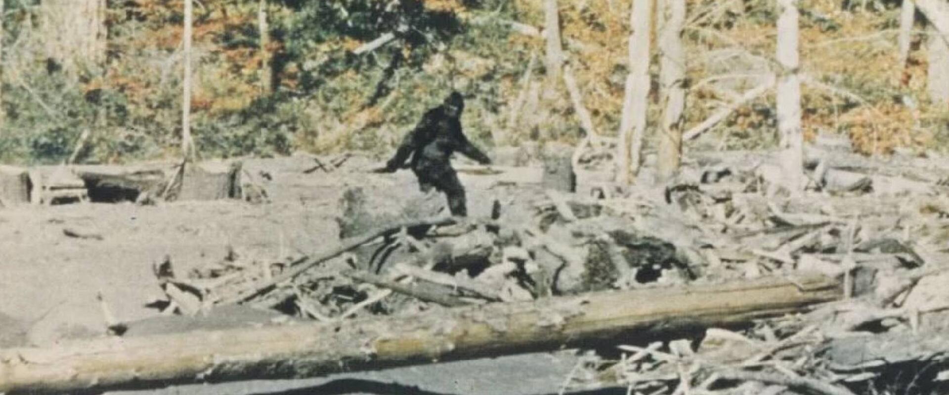 Egy 1966-os felvétel bizonyíthatja, hogy megrendezték a legendás Nagylábú-videót