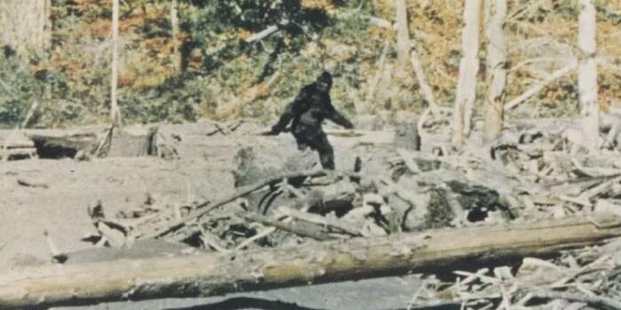 Egy 1966-os felvétel bizonyíthatja, hogy megrendezték a legendás Nagylábú-videót