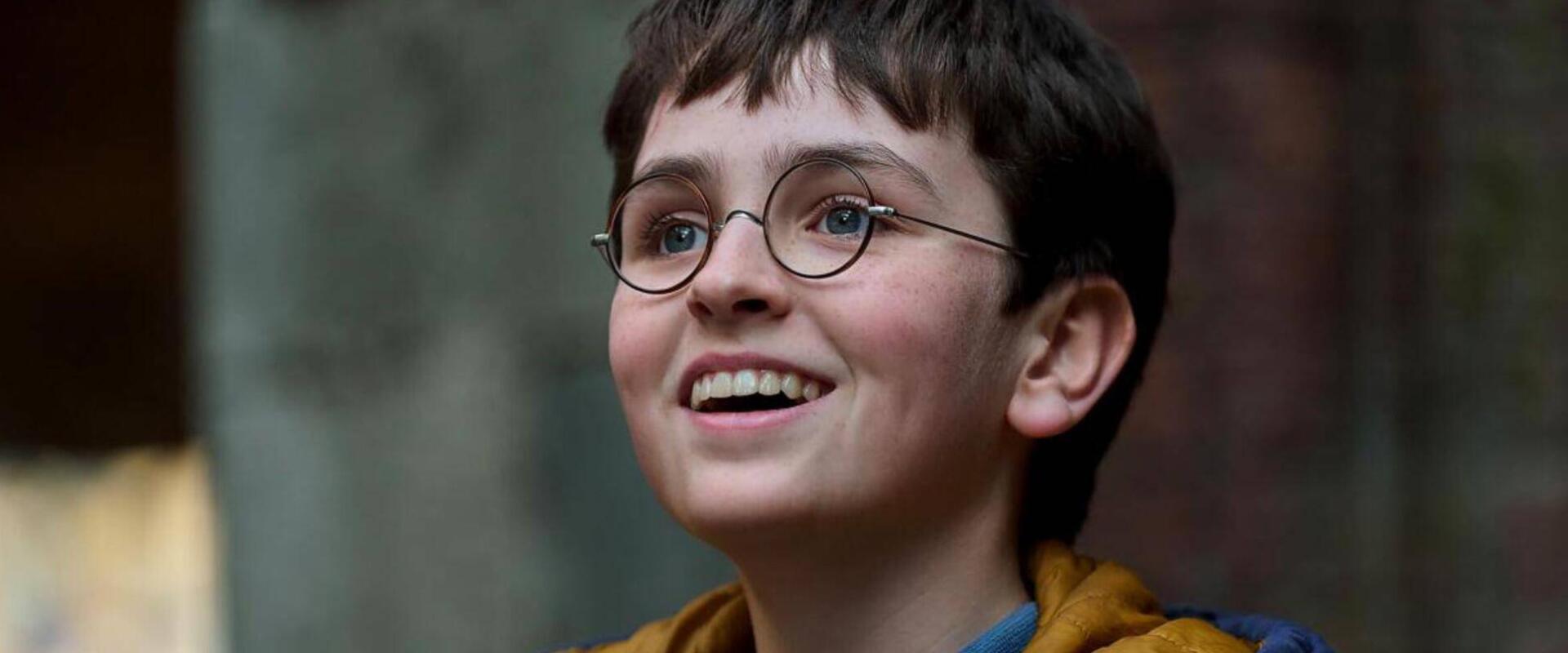 A Warner két kézzel szórja a pénzt az új Harry Potter-sorozatra
