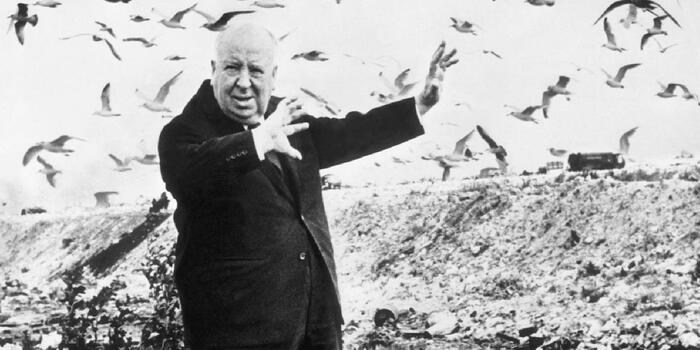 Film és Sorozat - Kiderült, kit terrorizálnak majd Hitchcock madarai az HBO új sorozatában
