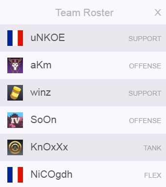 ow word cup team france rogue