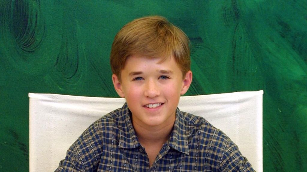 Haley Joel Osment, mint Harry