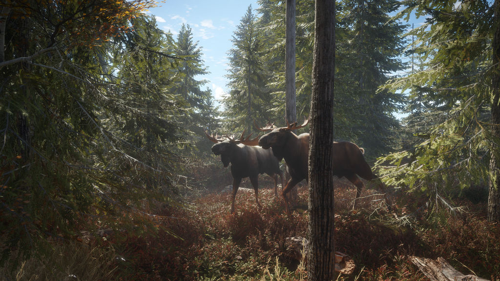 the Hunter: Call of the Wild - akciós ár: 4,99 euró