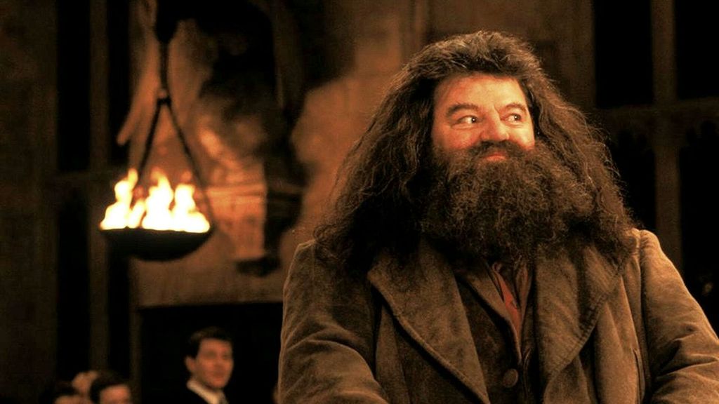 Rubeus Hagrid - Robbie Coltrane