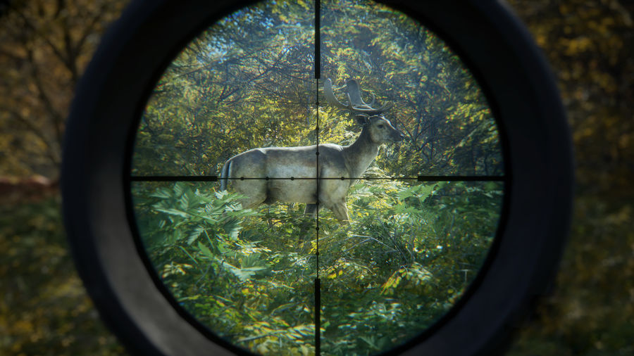 theHunter: Call of the Wild, Expansive Worlds