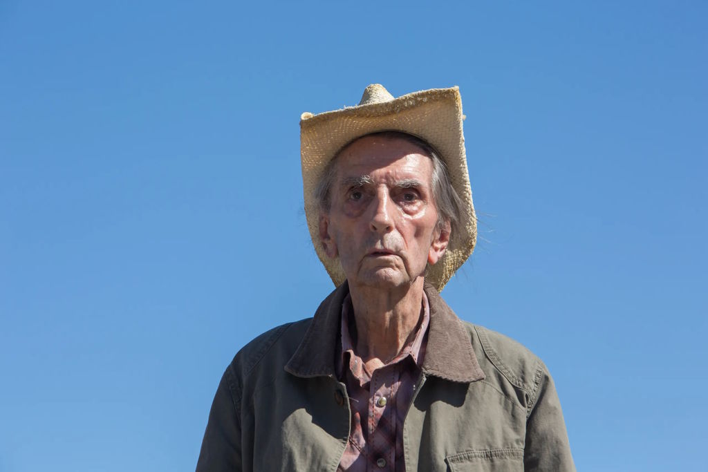 Harry Dean Stanton 2017-ben elhunyt