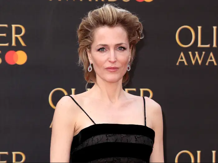 Gillian Anderson szerepet kapott volna a sorozatban, azonban visszautasította