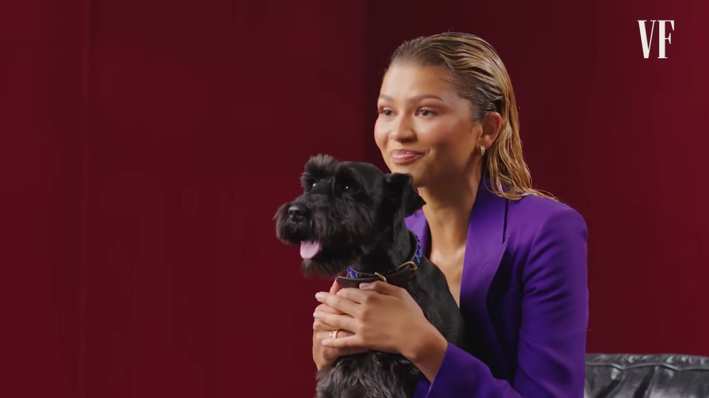 Zendaya megőrül Noonért, akit gyakorlatilag a gyerekének tekint, de persze tudja, hogy egy kiskutyáról van szó. A 9 éves mini Schnauzer kölyökkora óta vele él.