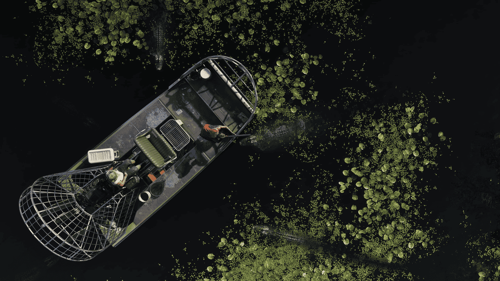 Grassrivers a GTA 6-ban - Forrás: Rockstar Games