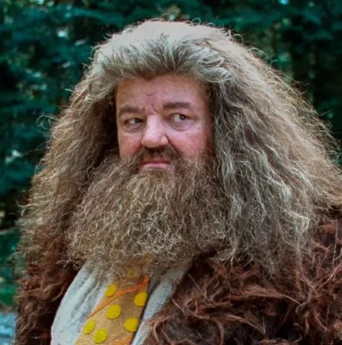 Rubeus Hagrid (Robbie Coltrane)