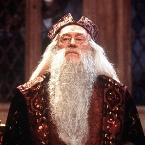 Albus Dumbledore (Richard Harris)