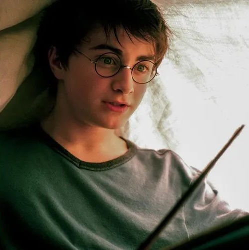 Harry Potter (Daniel Radcliffe) 