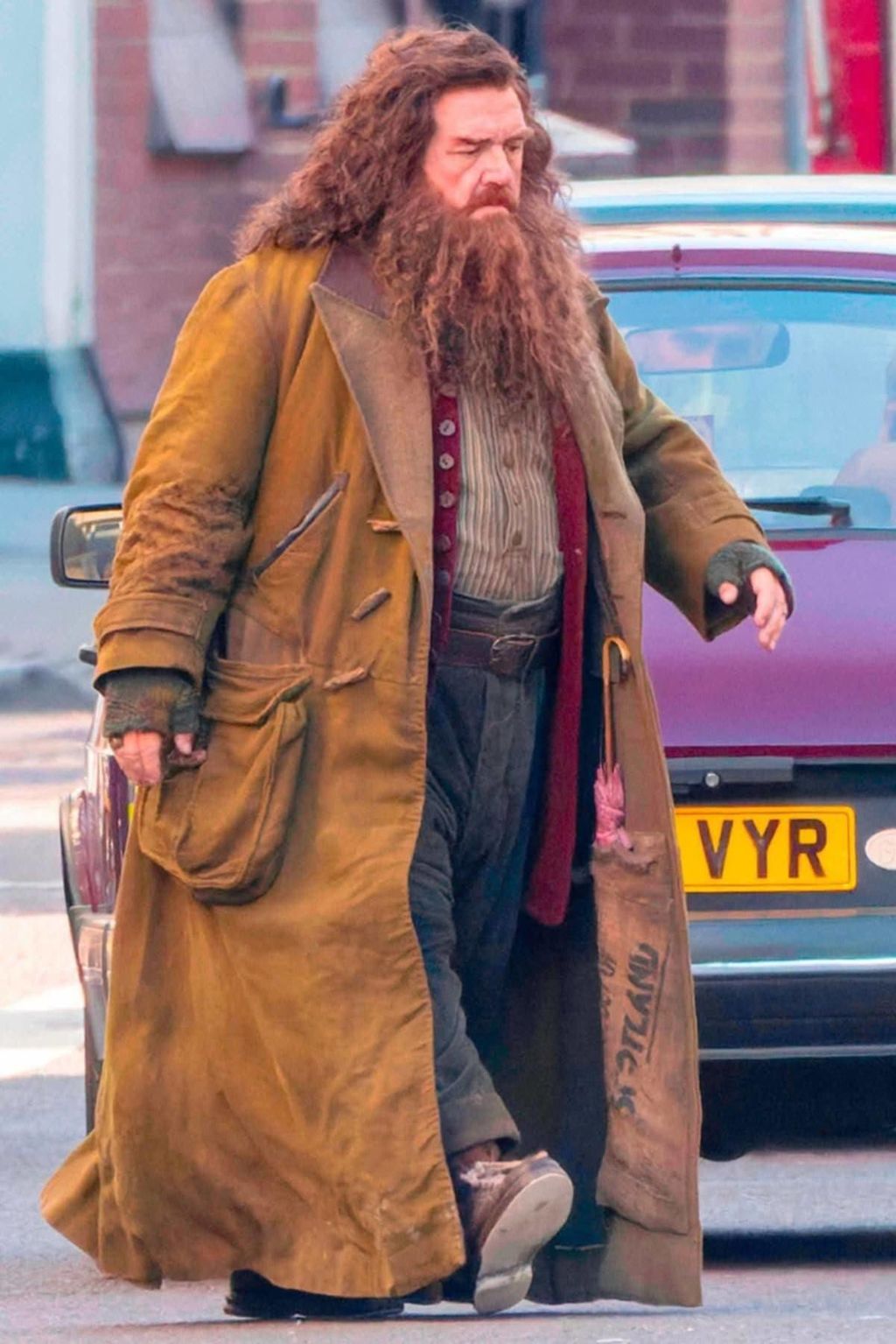 Nick Frost (Hagrid)